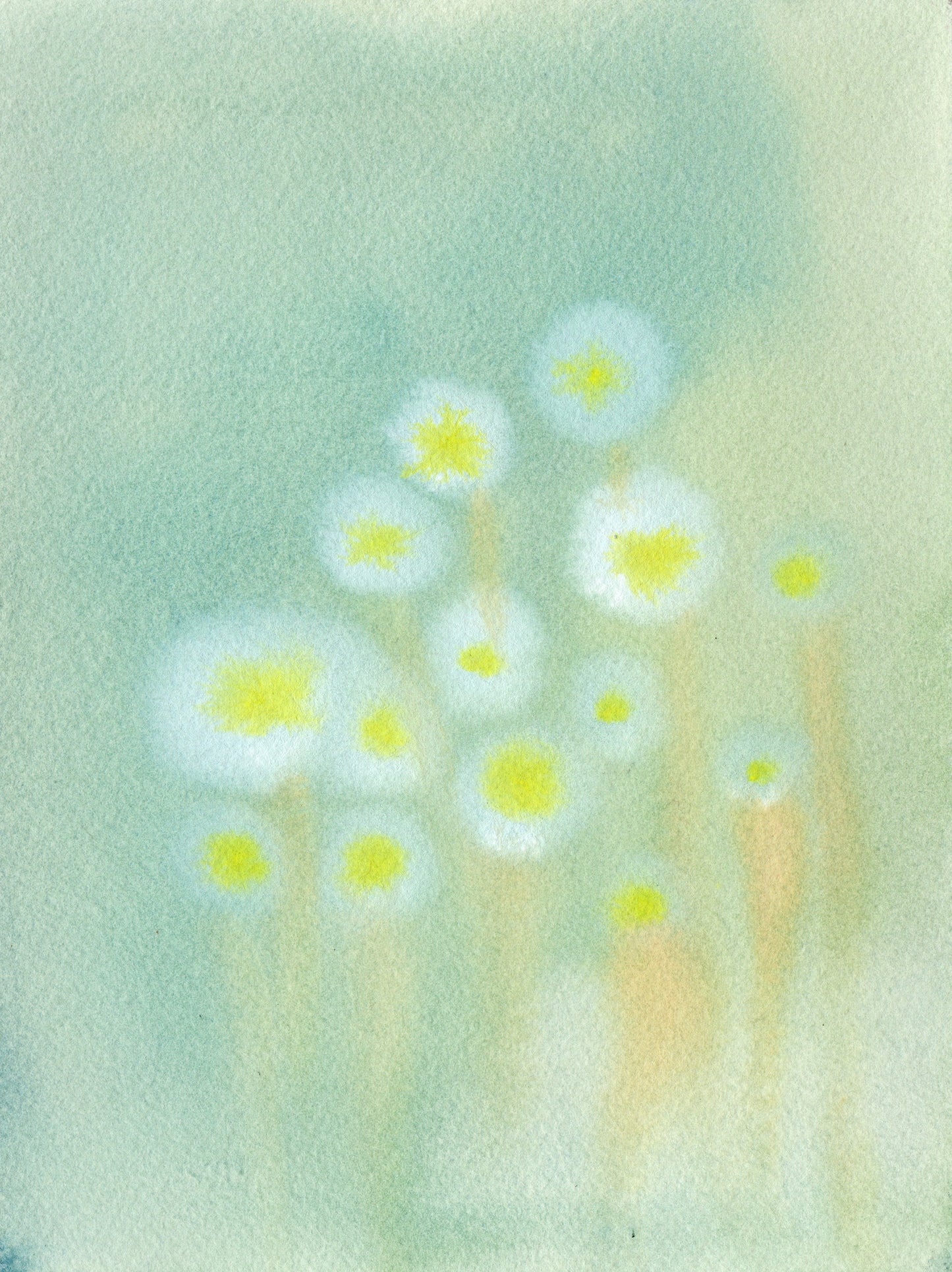 Winter flowers