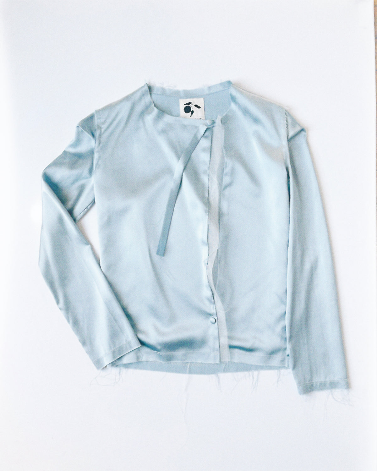 The Blue Satin Top
